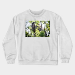 Green Heron Crewneck Sweatshirt